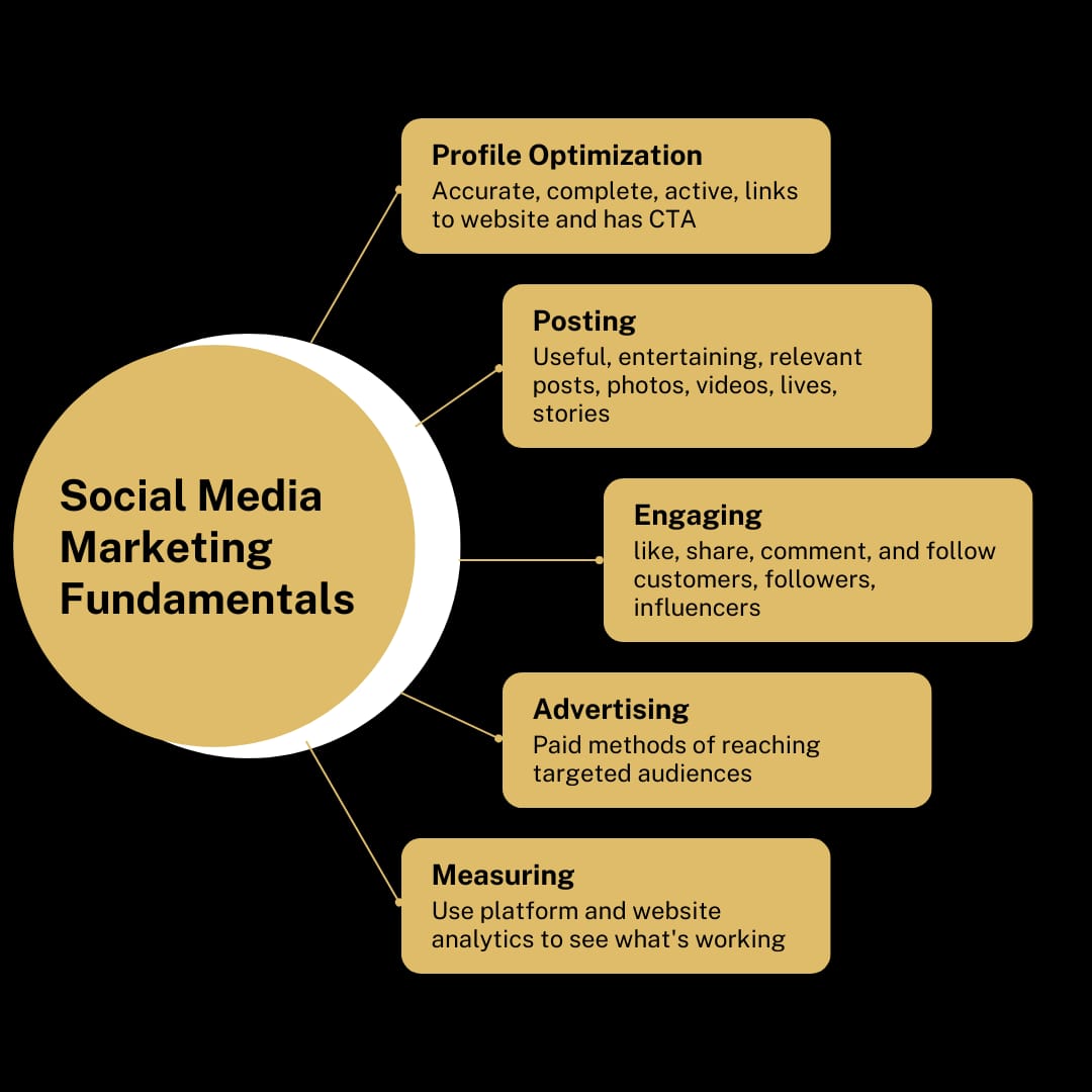 Graphic Design by Brand Wise Innovation